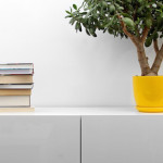 white commode with stack of books and flower pot in bright minimalism interior