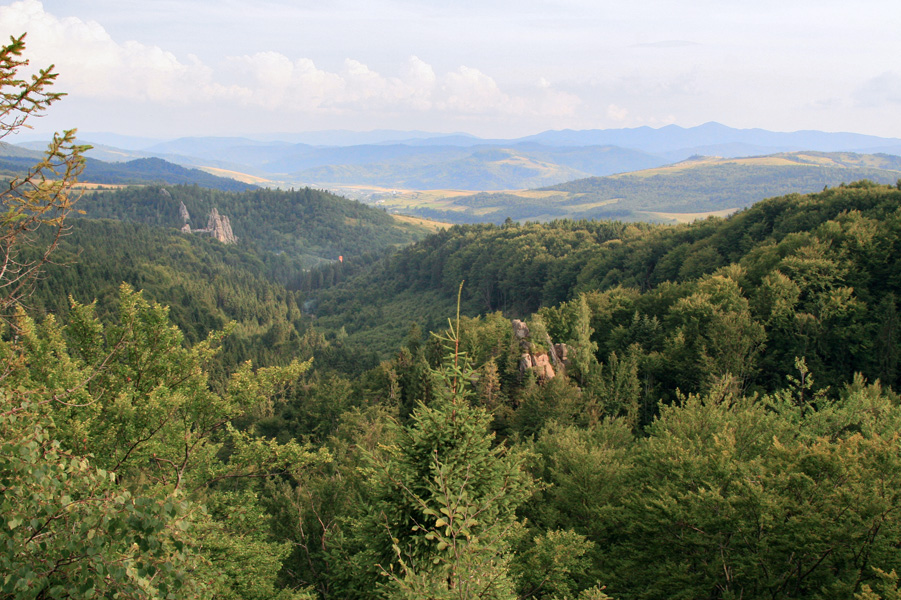 Сколівські бескиди