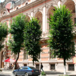 Львів австрійський